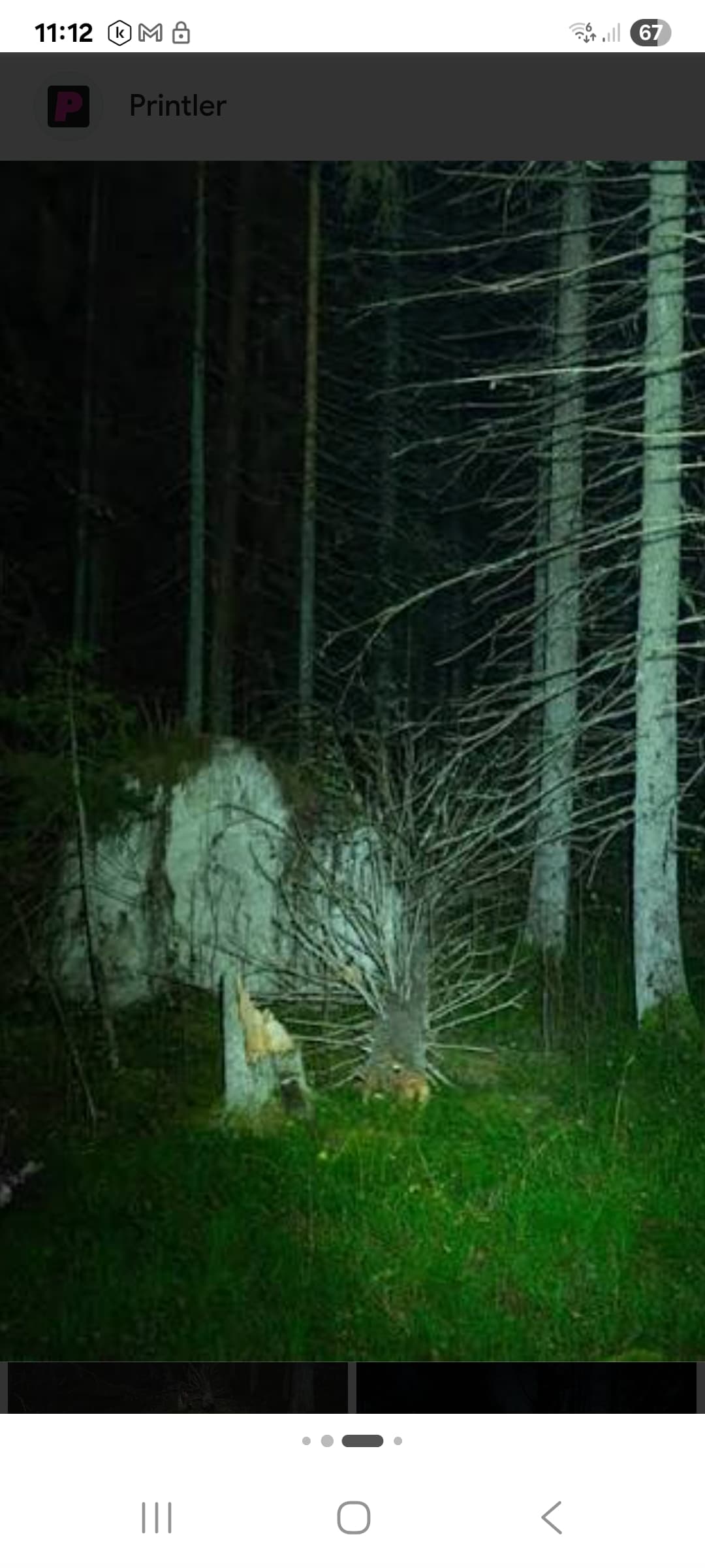 Nacht van de Duisternis: magische verhalen in het Boembekebos