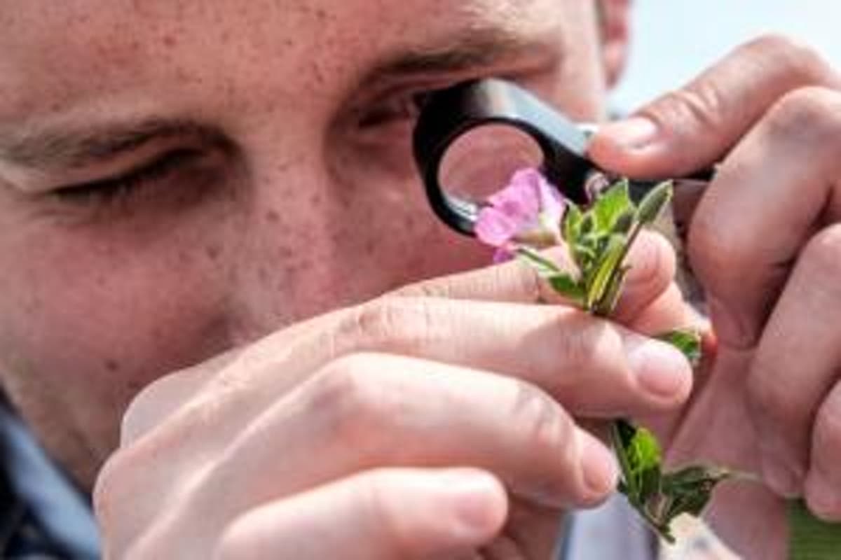 Plantencursus